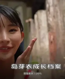 宮岛芽衣成长档案