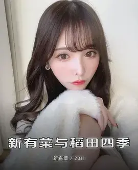 新有菜与稻田四季